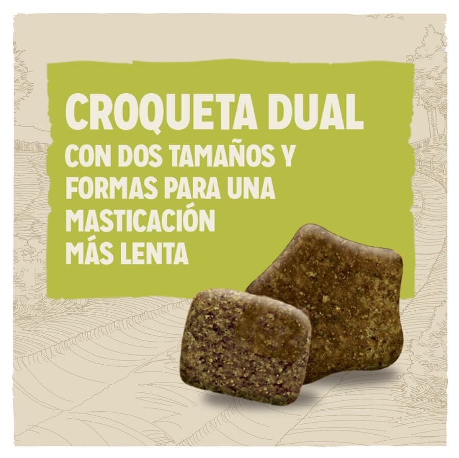 14 kg Dog Chow Adult Cordero pienso para perros, , large indicador imagen numero 3